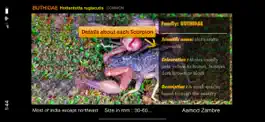 Game screenshot Indian Scorpions eGuide hack