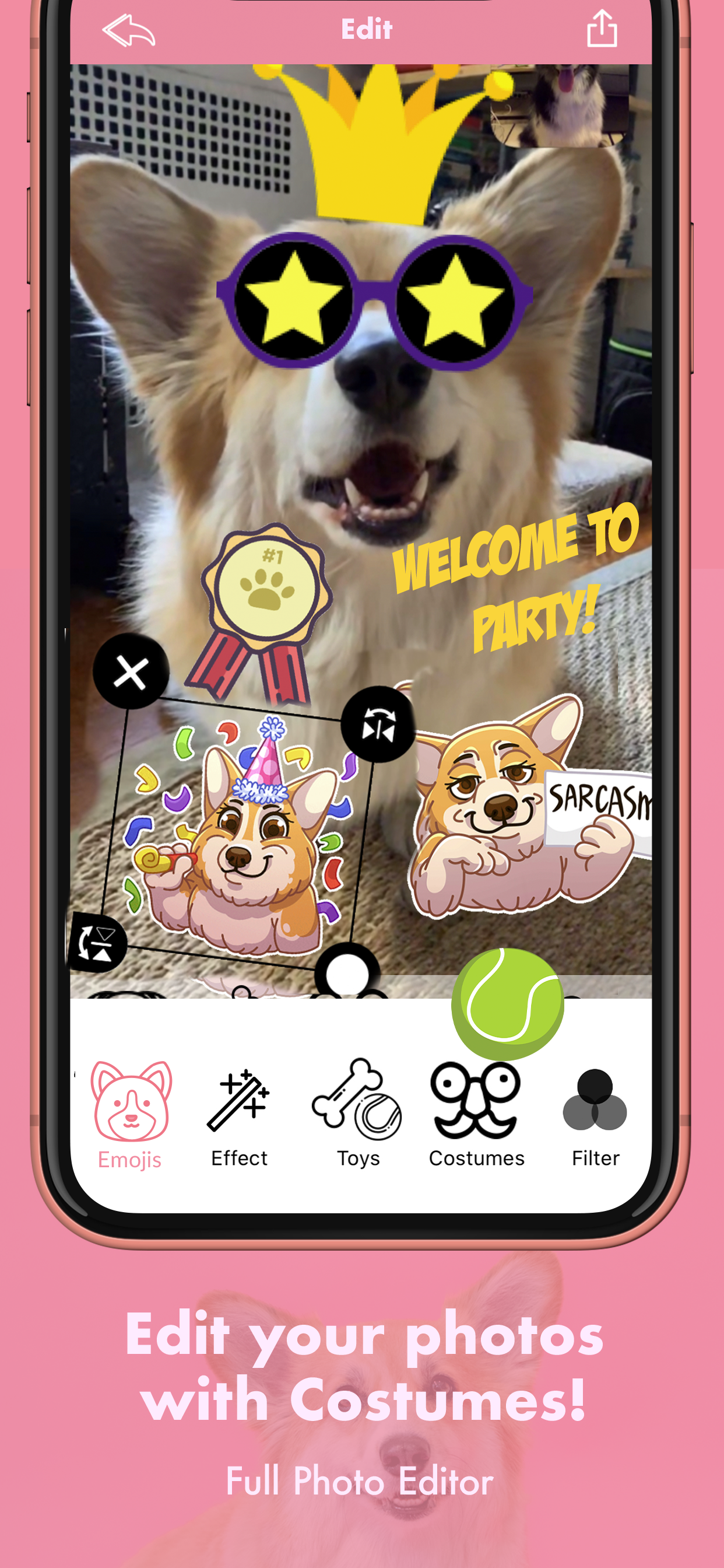 MaxiMojis - Corgi dog stickers