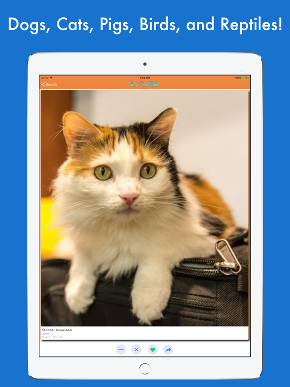 Screenshot #5 pour Furry Friend Finder Pet Rescue