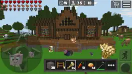 Game screenshot WorldCraft: 3D Блок Крафт apk