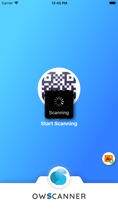 Screenshot #2 pour OWScanner