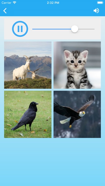 Animal Sounds for Kids Lite! screenshot-7