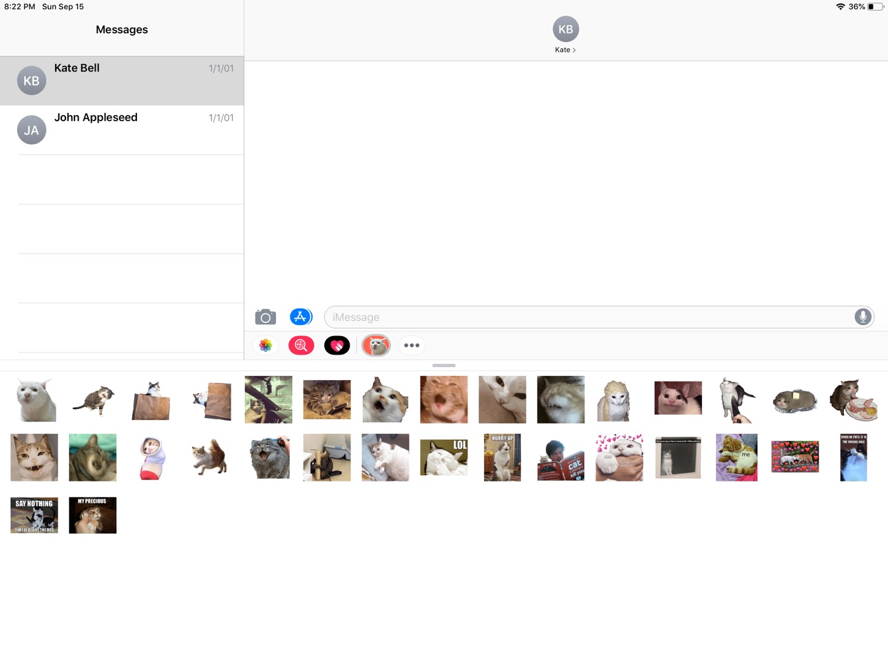 iPad screenshot