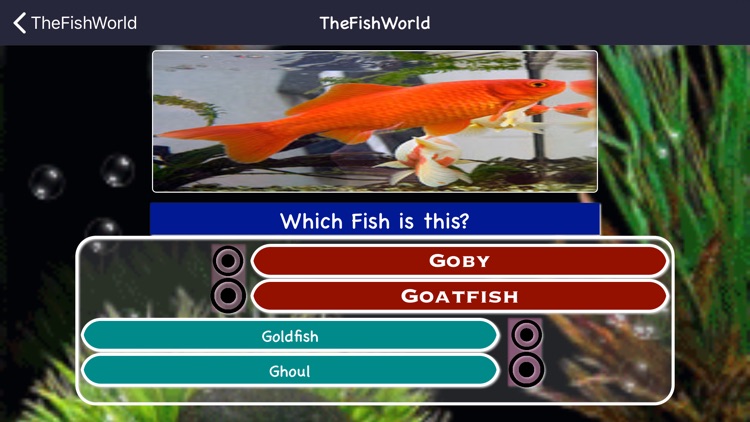 Fishes Identifying Games screenshot-3