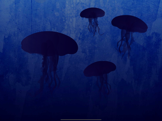 Peek-a-Zoo Underwater Ocean iPad screenshot 6 - Education app