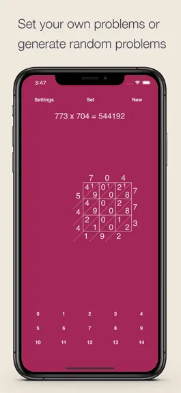 Game screenshot Lattice Multiplication hack