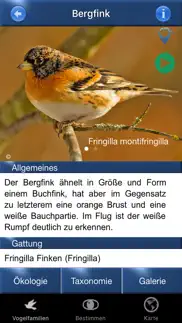 vogel id schweiz iphone bildschirmfoto 4