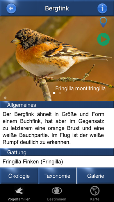 Vogel Id Schweiz Screenshot