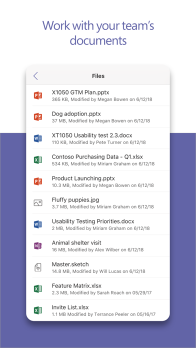 Microsoft Teams Screenshot 4