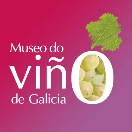 Museo del Vino de Galicia Читы