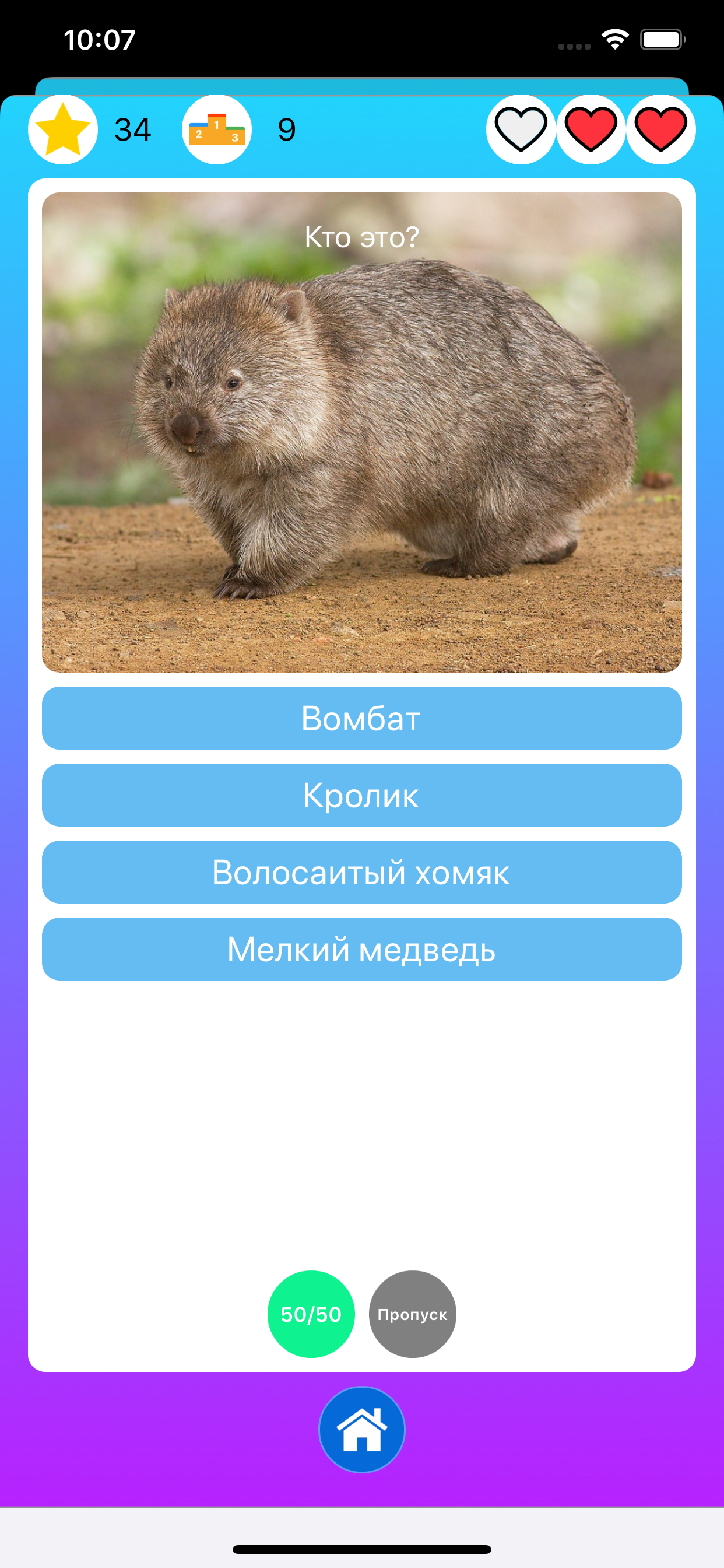 Природа и животные - викторина