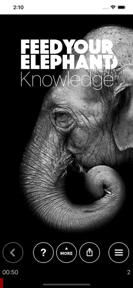 Feed Your Elephant Knowledge