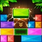 Wooden Blast - Block Puzzle app download