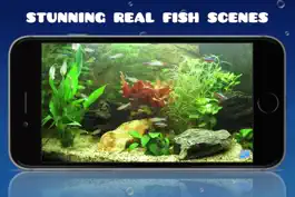Game screenshot Aquarium HD : Fish Scenes apk