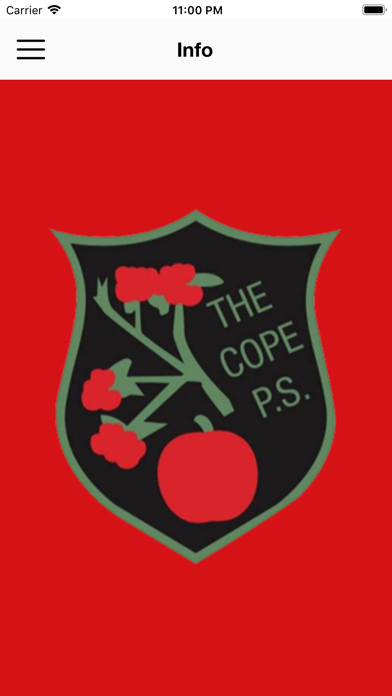 The Cope PS screenshot 3