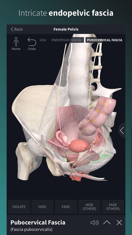 Complete Anatomy Platform '20 screenshot-6