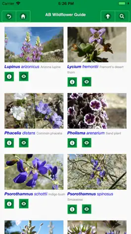 Game screenshot Anza-Borrego Wildflowers Lite apk