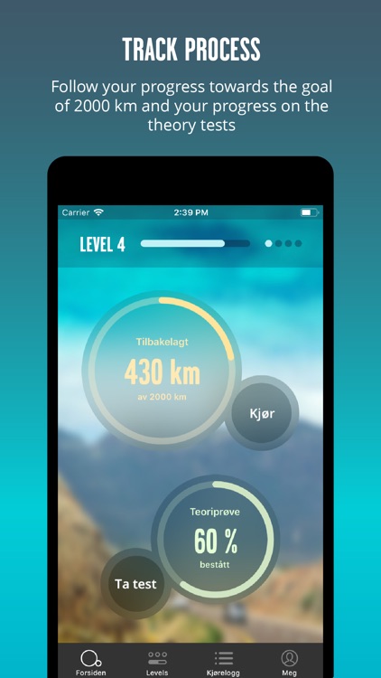 If Rookie Driver screenshot-3