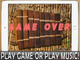 Game screenshot African Balafon Fun! - HD PRO hack