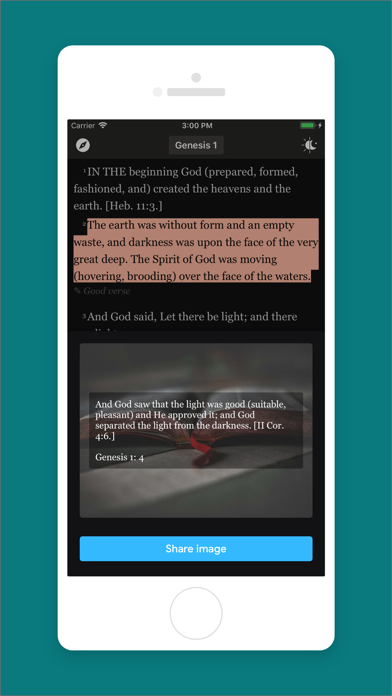 Amplified Bible version screenshot 4