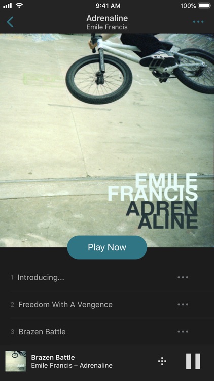 MusicLife screenshot-4