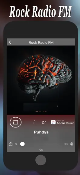 Game screenshot Rock Radio FM apk