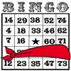 Blindfold Bingo