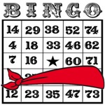Download Blindfold Bingo app