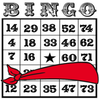 Blindfold Bingo