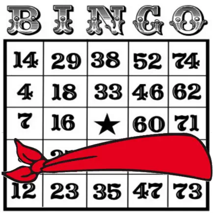 Blindfold Bingo Читы