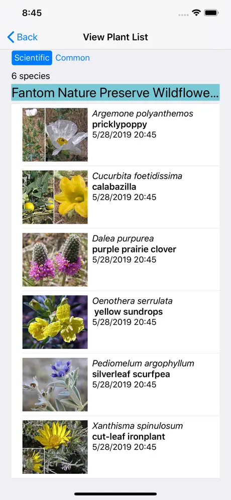Nebraska Wildflowers