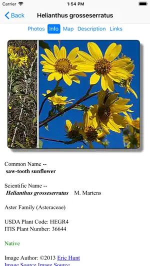 Wisconsin Wildflowers screenshot 3