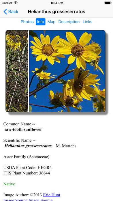 Screenshot #3 pour Wisconsin Wildflowers