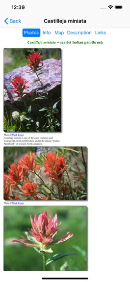 Game screenshot South California Wildflowers hack