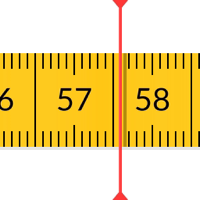 PEP  Body diary - weight loss