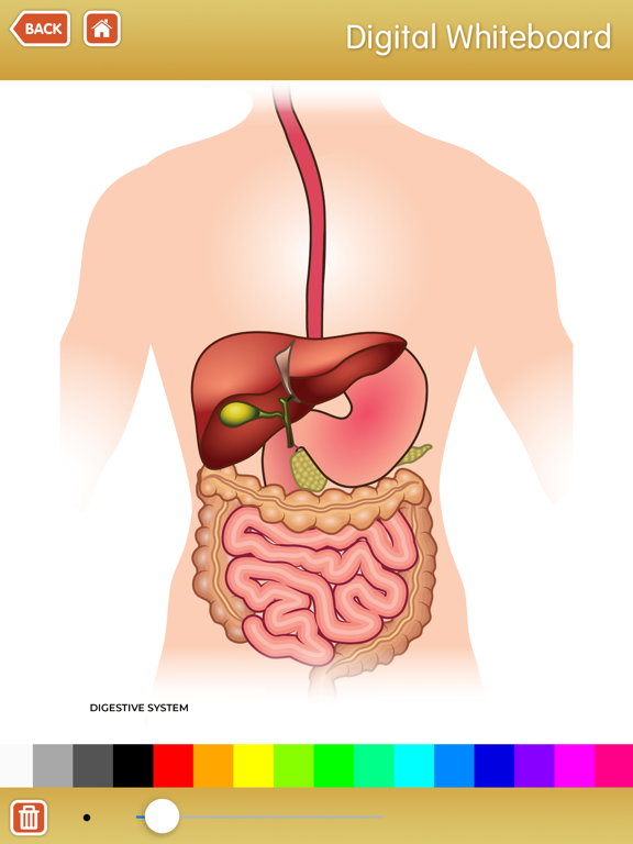 Screenshot #5 pour KidSpeak - Kids Medical Preps