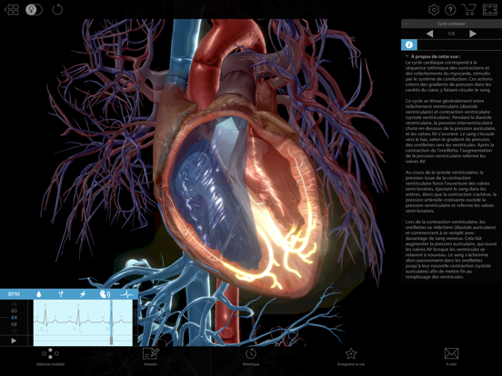 Screenshot #4 pour Physiologie & Pathologie