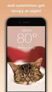 lil bub cat weather report iphone screenshot 3