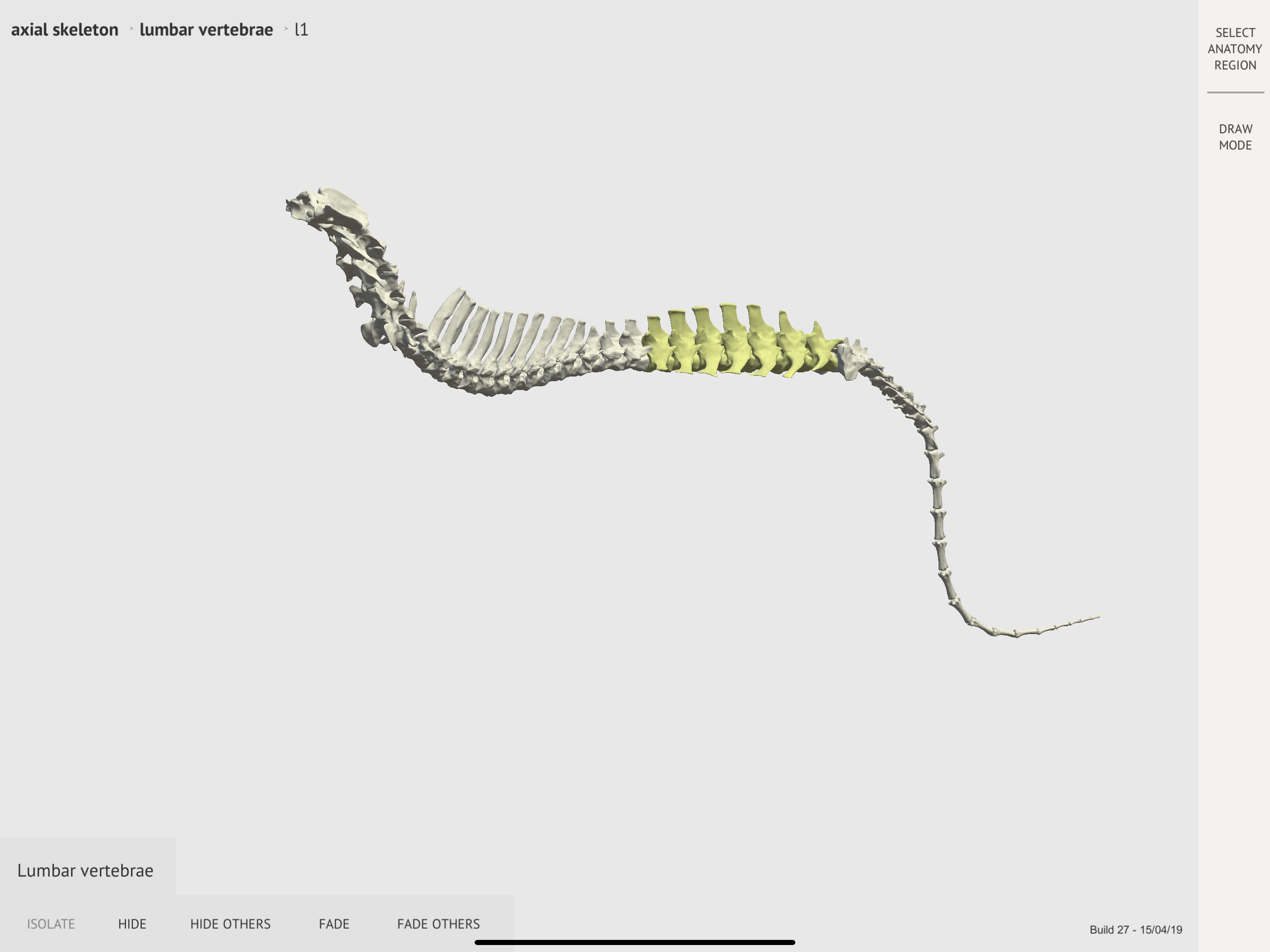 Dog Skeleton 3D Atlas screenshot 6