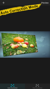 Photo Perspective Editor&Maker screenshot