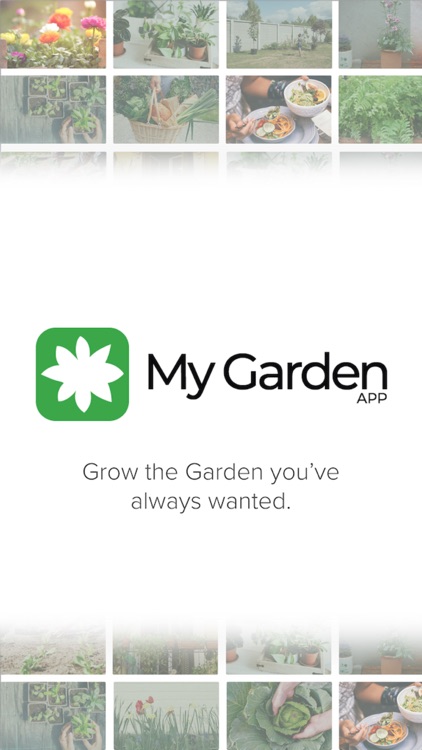 My Garden: Inspiration To Grow