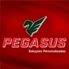 Pegasus Soluções