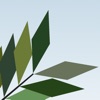 TreeSim - iPadアプリ