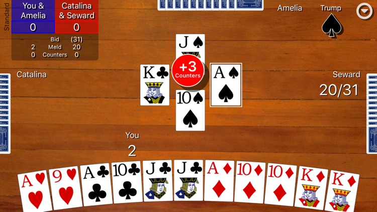 Pinochle Classic screenshot-0