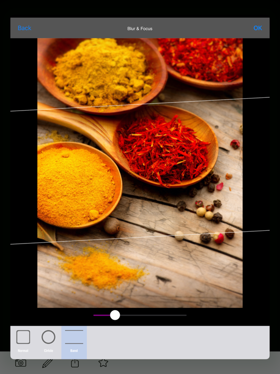 Food Picture Camera PRO iPad screenshot 4 - Food & Drink app