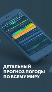 windy pro Погода, ветер, волны айфон картинки 2