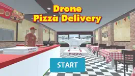 Game screenshot Drone Pizza Delivery 3D apk