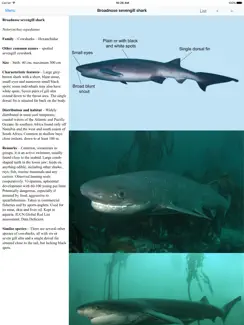 EGuide to Sharks and Rays iPad image 1