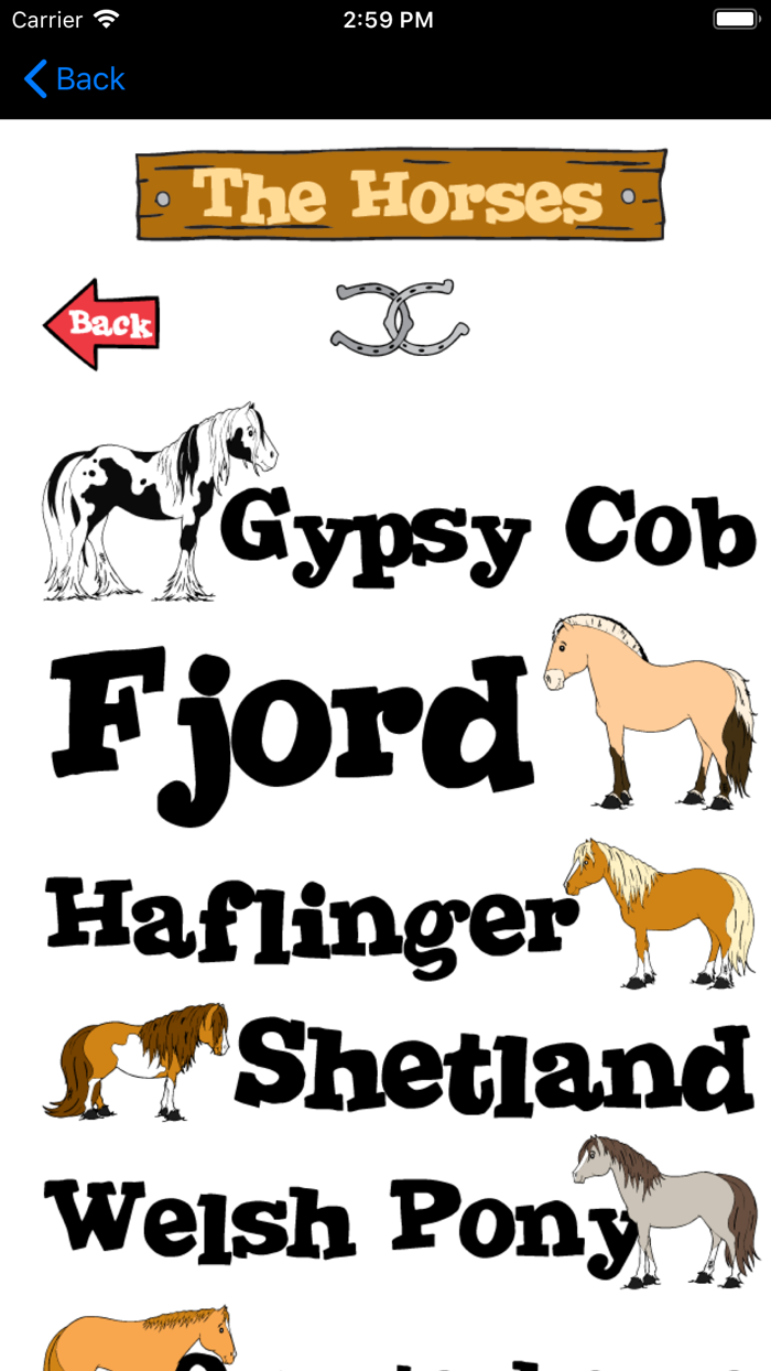 Drawing Horses Cartoon Project