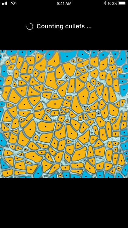 Glaston Siru screenshot-3